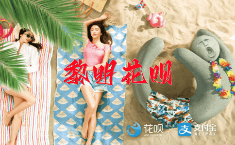 ﻿无庸置疑花呗